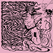 Crocbrain, or, Two Big Steps For Mankind