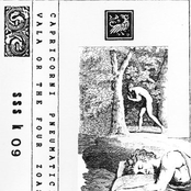 Vala, Or The Four Zoas