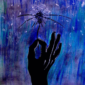 The Kid Has Gone Missing