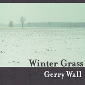 Winter Grass 1