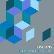 Elephant Hexagon