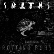 Rotting Body