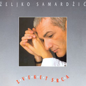 Zveket srca
