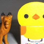 Birds (demo versions unreleased)