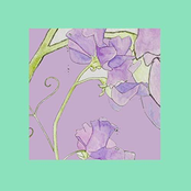 Taste Of The Heavens