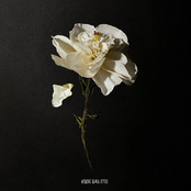 Wrath's Black Attire