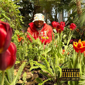 Flowers Never Bloom Before The Sun Comes