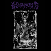 ALGOR MORTIS S/T