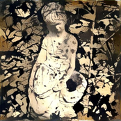 The Liar, The Thief and the Orchid