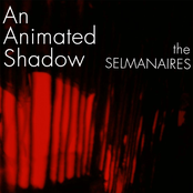 An Animated Shadow