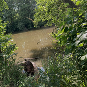 Der Troll Weint Nur Bei Nacht