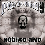 Publico Alvo