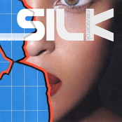 Silk by Defect Data