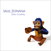 Saul Zonana: Blue Monkey