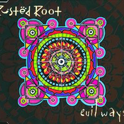 Big White Bird by Rusted Root