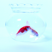 6 To 9 (Feat. 로꼬)