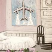 Polaroids and Airplanes