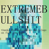 thanks for setting my buttplugs on fire you cunt (single)