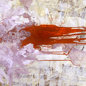 Cittacaura [Homophoni]