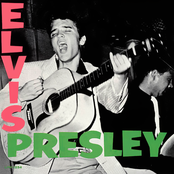 I Love You Because by Elvis Presley