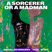 A SORCERER OR A MADMAN