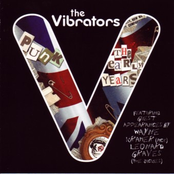 Rip Up The City by The Vibrators