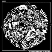 Plagues Upon Plagues