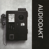 Audiodakt