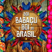 Boi Babaçu, o Boi do Brasil