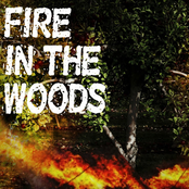 Fire in the Woods