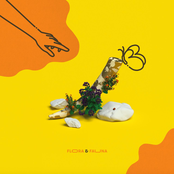 Jon Casey: Flora & Fauna