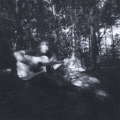 The Boy Who Cried Wolf