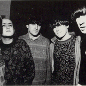 inspiral carpets