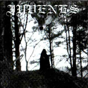 The Empyrean Call's of Wolves