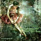 Divinas - Music For Your Soul