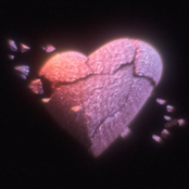 Fairy Castor X Viking