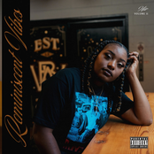 Reminiscent Vibes, Vol. 2