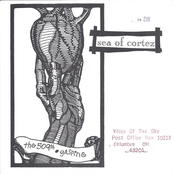 Sea Of Cortez / Mars Observer Mission