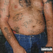 כהנא לובש סיסו 8