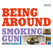 Smoking Gun - Single