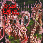 Chicago Death Compilation