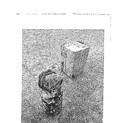 l'ampoule et l'insecte