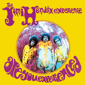 Experience Hendrix: Are You Experienced