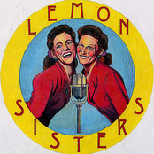 In My Country - Single