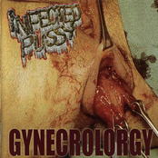 Gynecrolorgy