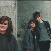 Shop Assistants