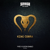 King Cobra - Single