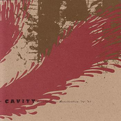 Spine I by Cavity