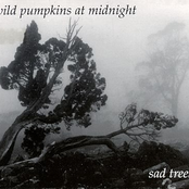 Sad Trees