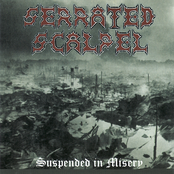 Serrated Scalpel: Suspended In Misery